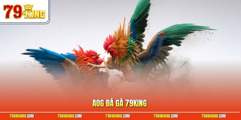 aog-da-ga-79king AOG đá gà 79King