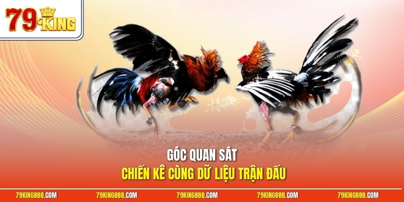 goc-quan-sat-chien-ke-cung-du-lieu-tran-dau Góc quan sát chiến kê cùng dữ liệu trận đấu