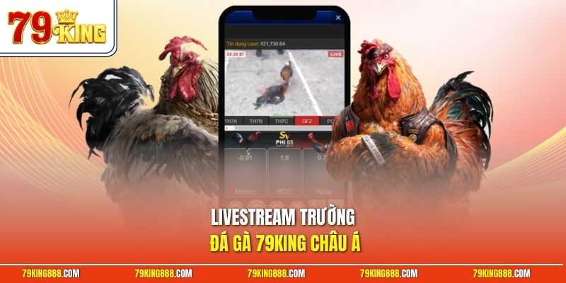 livestream-truong-da-ga-79king-chau-a Livestream trường đá gà 79King châu Á