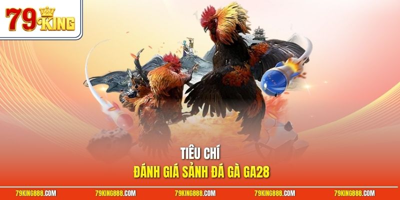 tieu-chi-danh-gia-sanh-da-ga-ga28 Tiêu chí đánh giá sảnh đá gà GA28