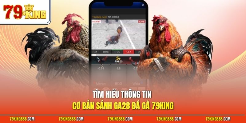 tim-hieu-thong-tin-co-ban-sanh-ga28-da-ga-79king Tìm hiểu thông tin cơ bản sảnh GA28 đá gà 79King