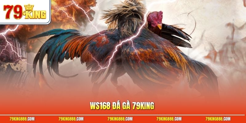 ws168-da-ga-79king WS168 đá gà 79King